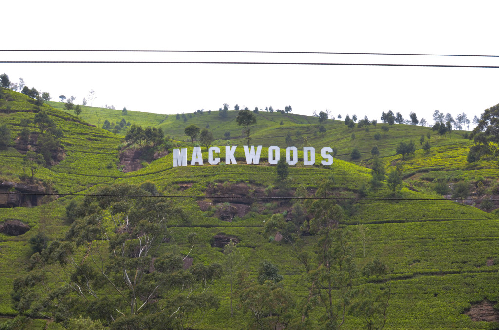 mackwoods