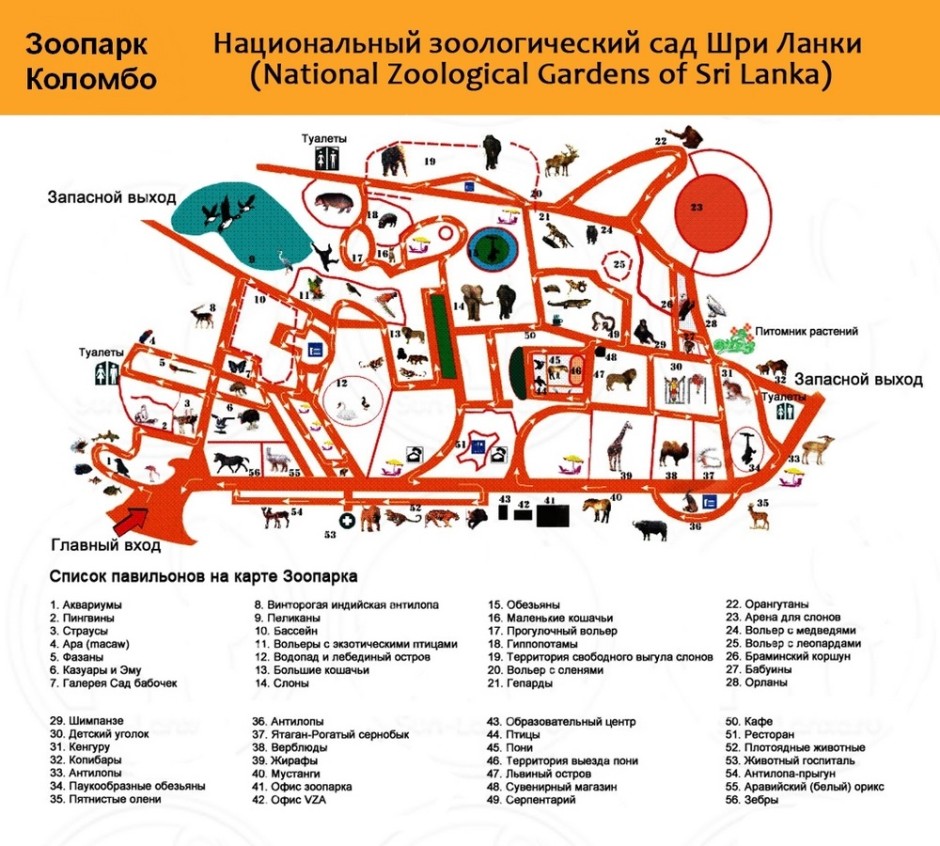 Карта Зоопарка Шри-Ланки